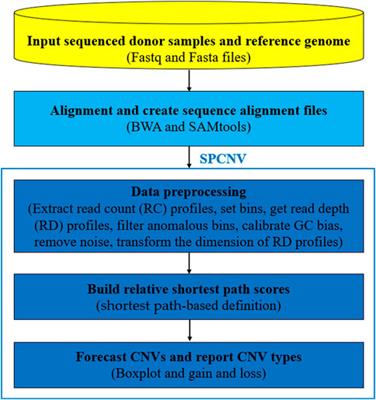 A shortest path-based approach for copy number variation detection from next-generation sequencing data